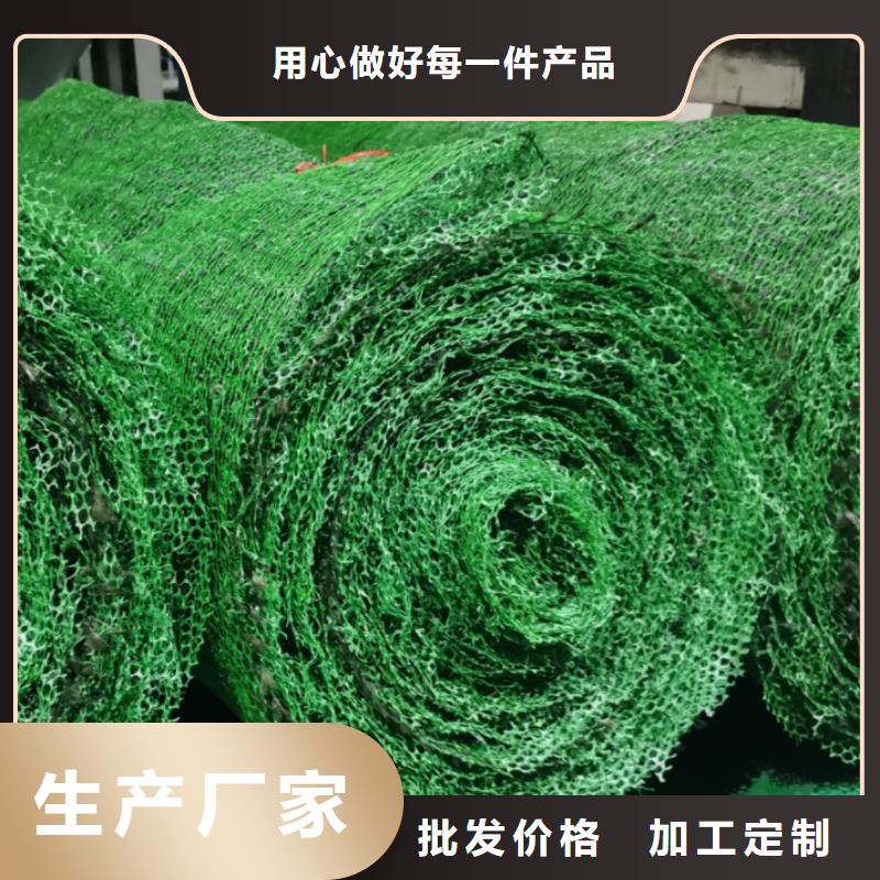 三维植被网植草格实力厂家