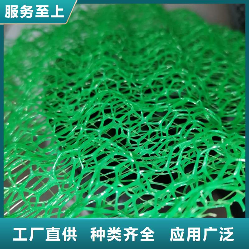 三维植被网防护虹吸排水收集系统一对一为您服务
