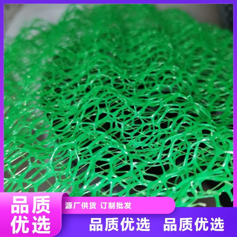 【三维植被网】-排水板专注细节专注品质