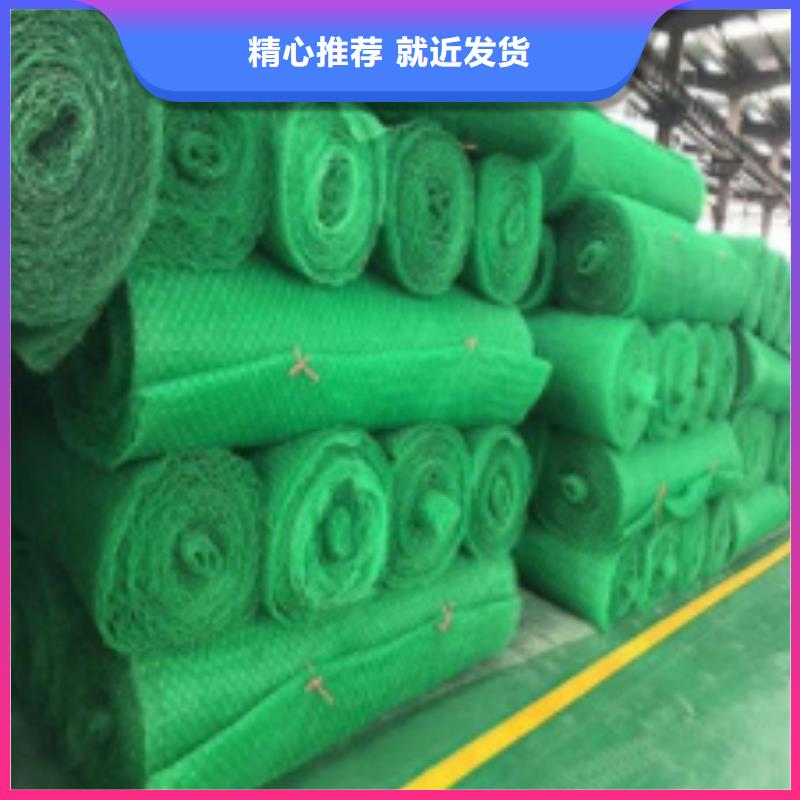 三维植被网化粪池水泥源头工厂量大优惠