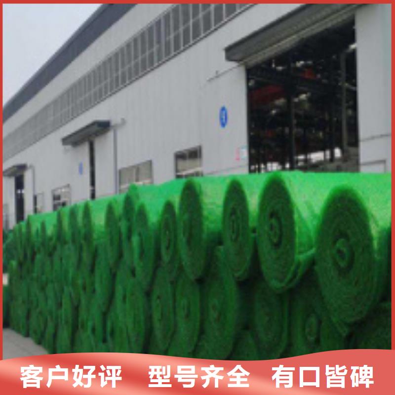 三维植被网【植草格】销售的是诚信