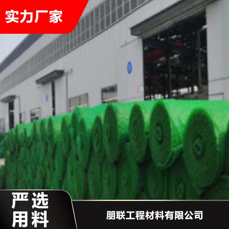 三维植被网植草格实力厂家