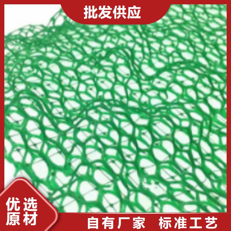 【三维植被网】_ 植草格本地配送同城供应商