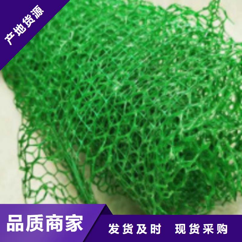 【三维植被网】防护虹吸排水收集系统品质好才是硬道理