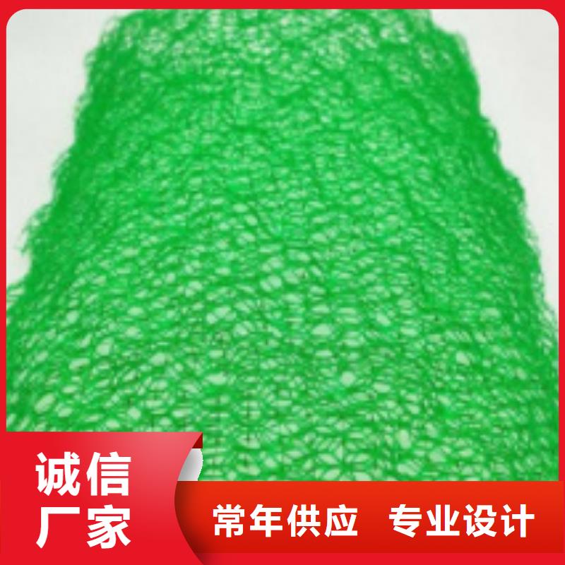 三维植被网植草格现货充足量大优惠