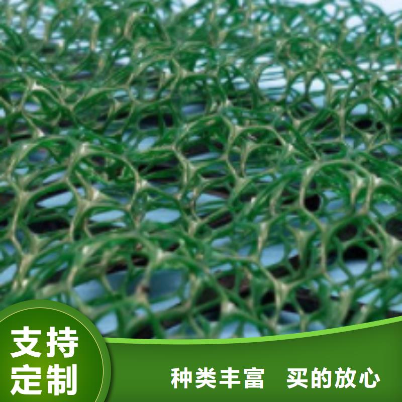 【三维植被网】-排水板专注细节专注品质