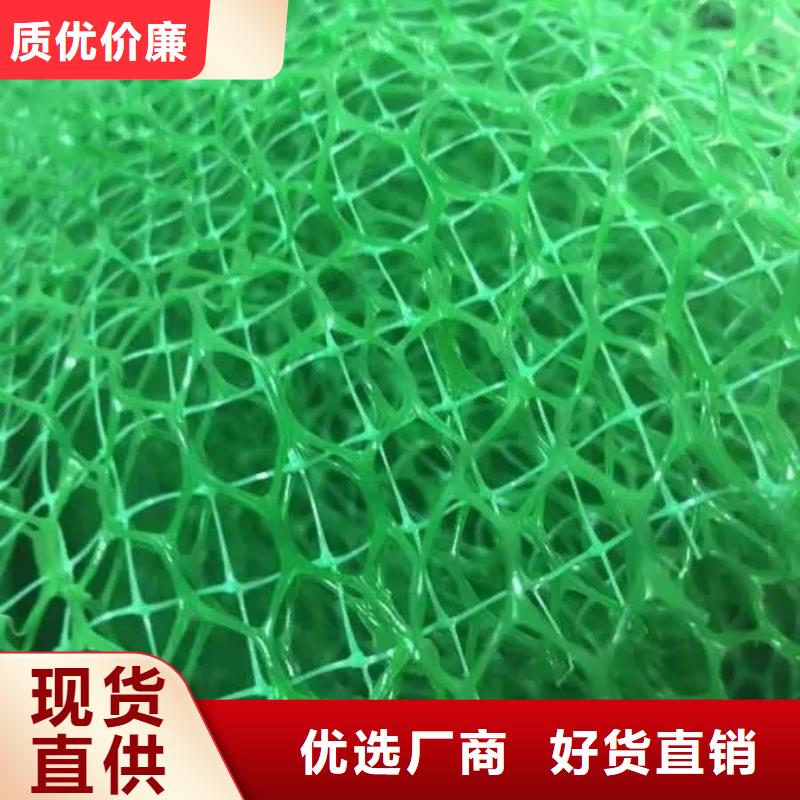 三维植被网-防护虹吸排水收集系统真材实料