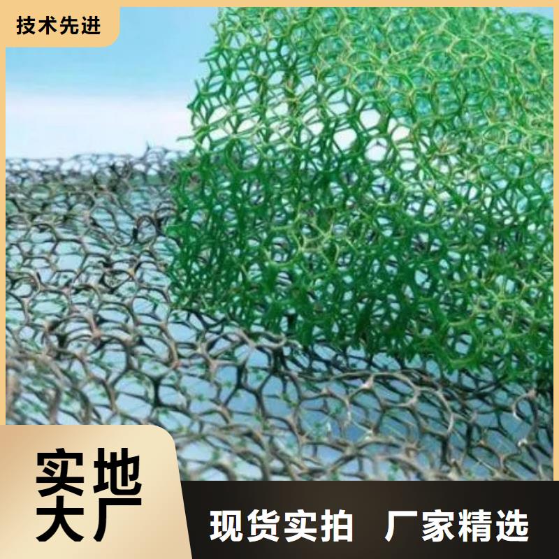 【三维植被网】-排水板专注细节专注品质