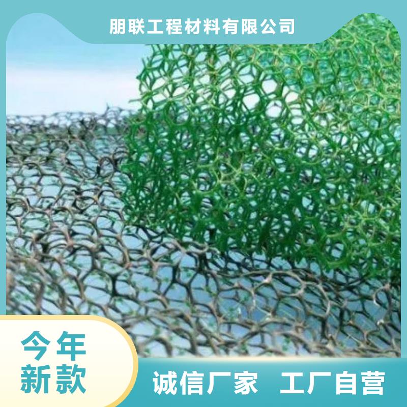 【 三维植被网-防护虹吸排水收集系统实力商家供货稳定】