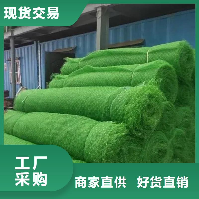 三维植被网【植草格】全新升级品质保障