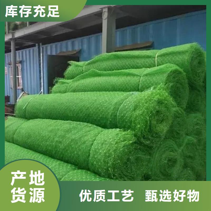 三维植被网植草格现货充足量大优惠