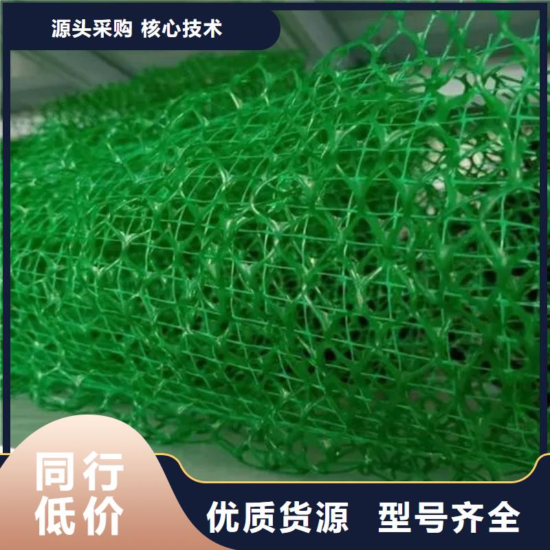 三维植被网车库虹吸排水系统真诚合作