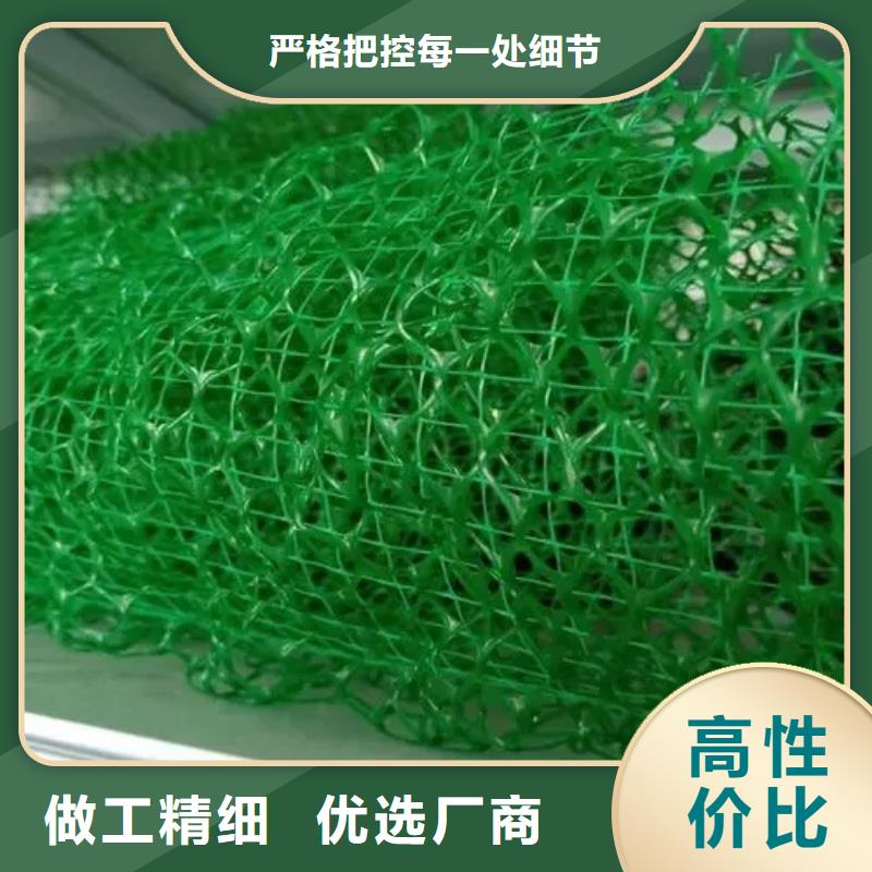 三维植被网防护虹吸排水收集系统省心又省钱