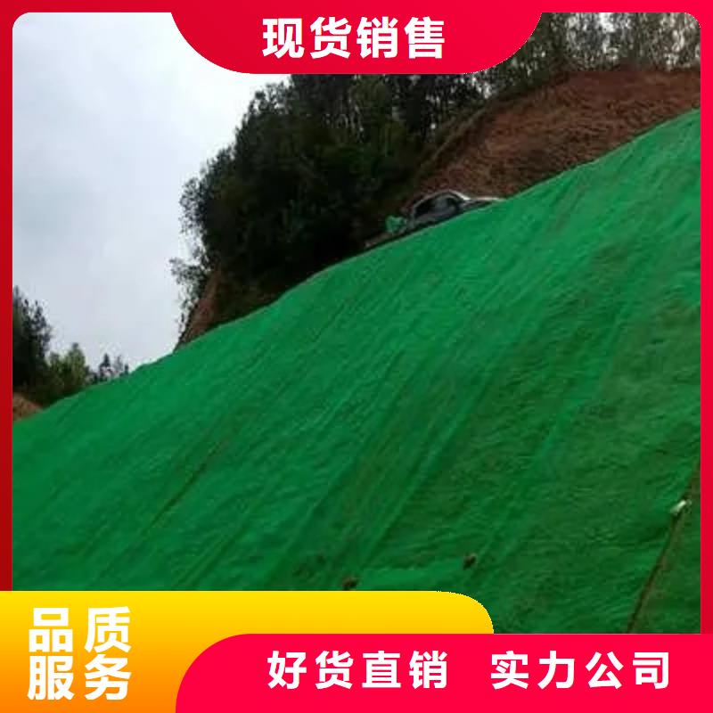 三维植被网_排水板价格公道合理