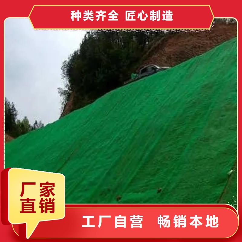 三维植被网【车库虹吸排水系统】用心服务