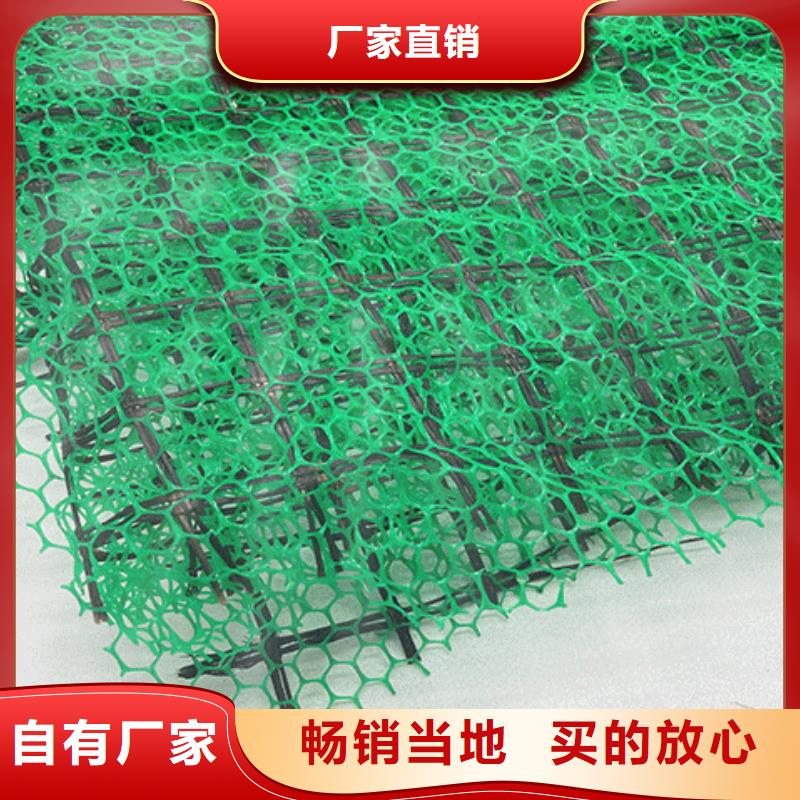 三维植被网_排水板多种工艺