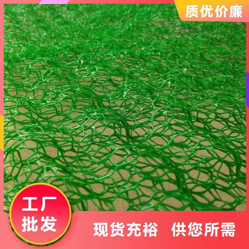 三维植被网_排水板价格公道合理
