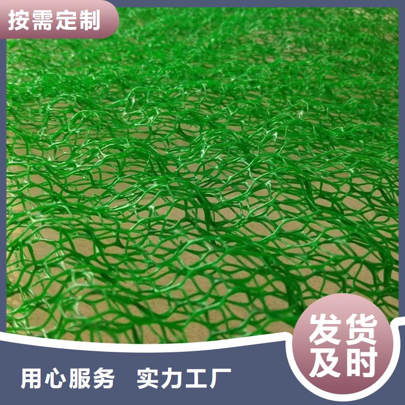 三维植被网植草格现货充足量大优惠