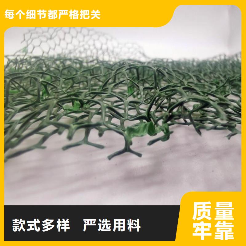 【 三维植被网-防护虹吸排水收集系统实力商家供货稳定】