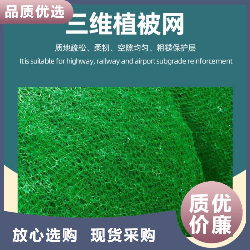 三维植被网排水板就近发货