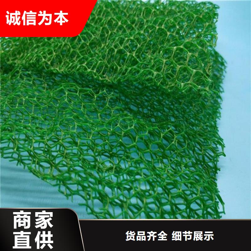 三维植被网排水板多年经验值得信赖