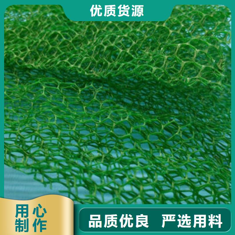 【三维植被网】_ 植草格本地配送同城供应商