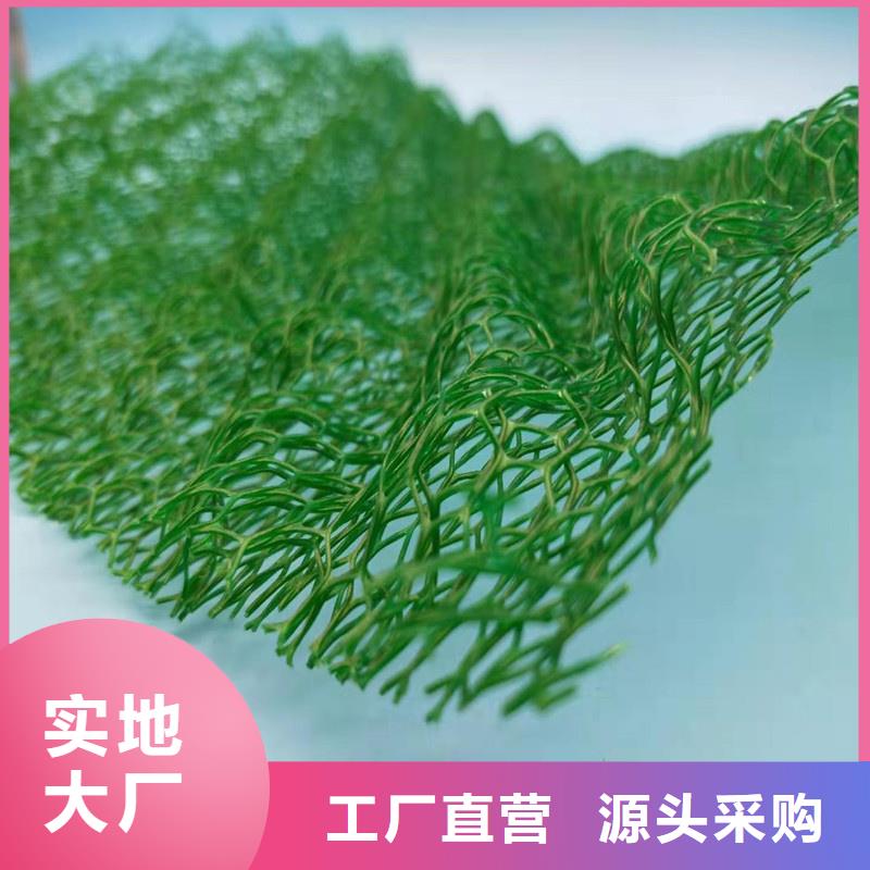 【三维植被网】_ 植草格本地配送-朋联工程材料(恩施市分公司)|覆盖地域鹤峰|咸丰|十堰|襄阳|黄石|孝感