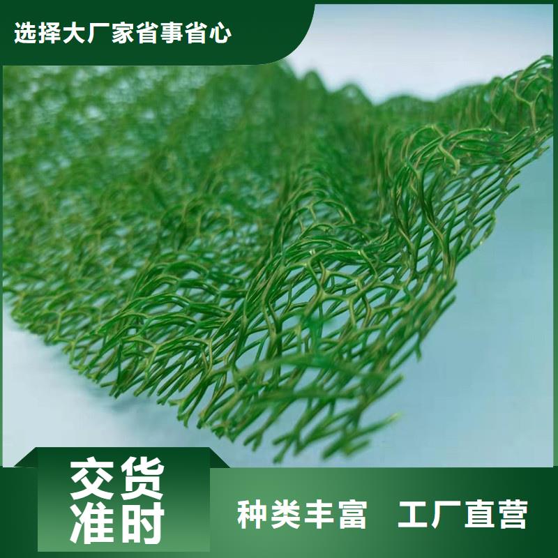 三维植被网排水板就近发货