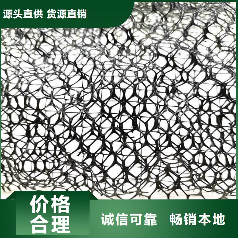 无中间商厂家直销【三维植被网】_ 植草格本地配送