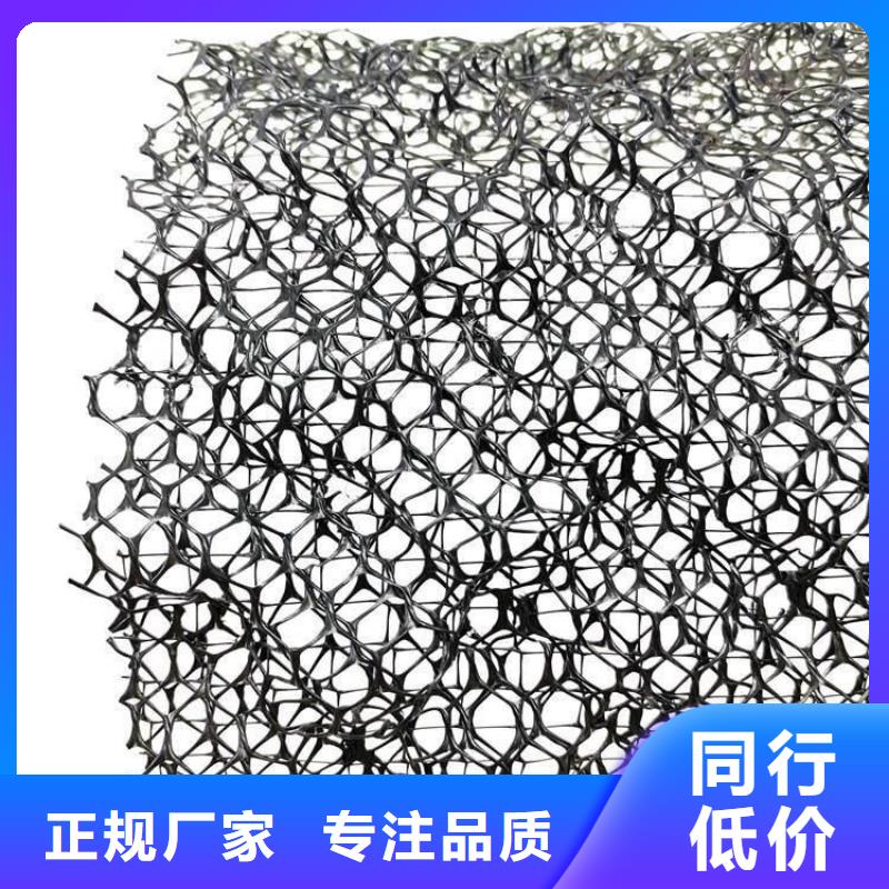 【三维植被网】_ 植草格本地配送-朋联工程材料(恩施市分公司)|覆盖地域鹤峰|咸丰|十堰|襄阳|黄石|孝感