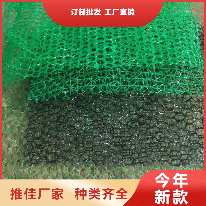 【三维植被网】-排水板专注细节专注品质