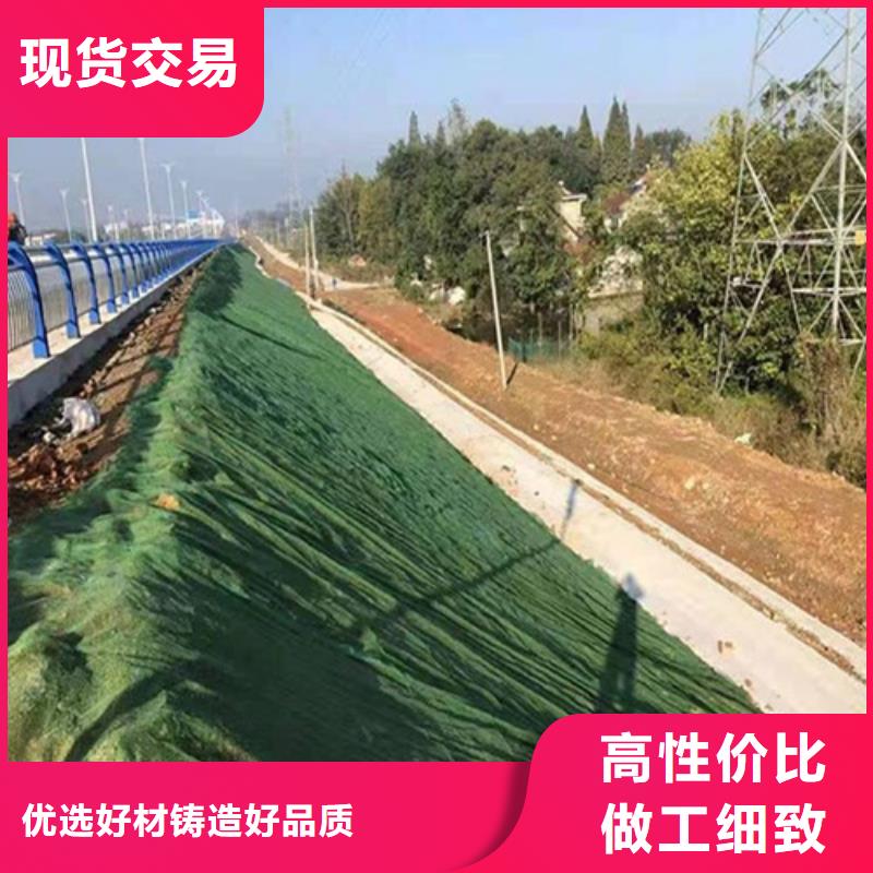 三维植被网植草格现货充足量大优惠