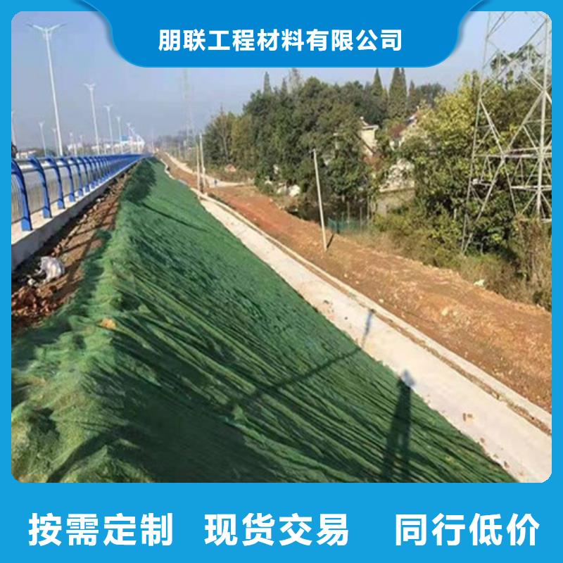 三维植被网排水板规格型号全