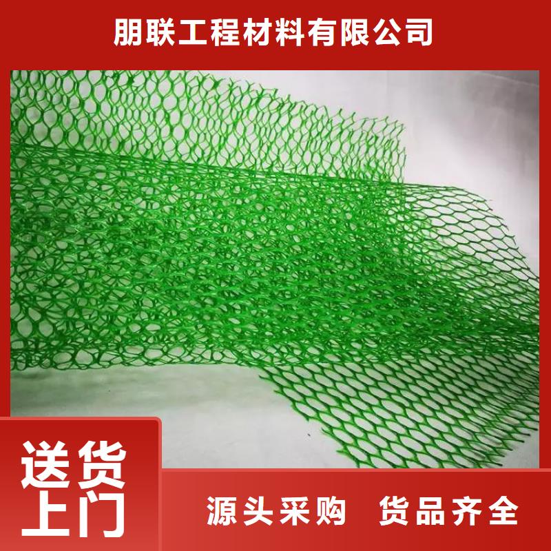 三维植被网排水板就近发货
