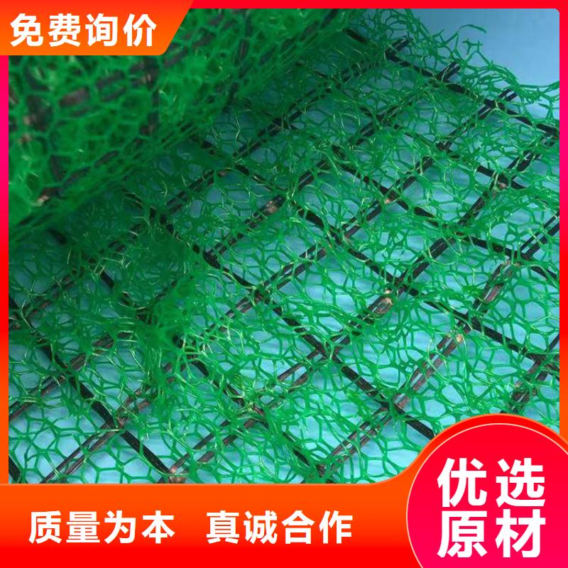 三维植被网【植草格】销售的是诚信