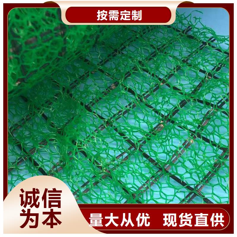 【三维植被网】_ 植草格本地配送同城供应商