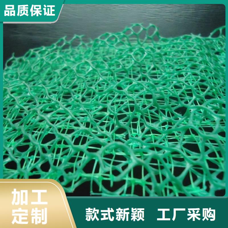 三维植被网排水板就近发货