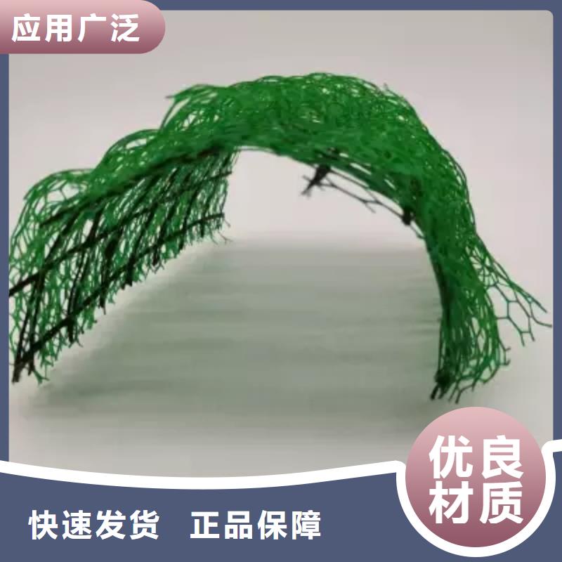 三维植被网【植草格】全新升级品质保障