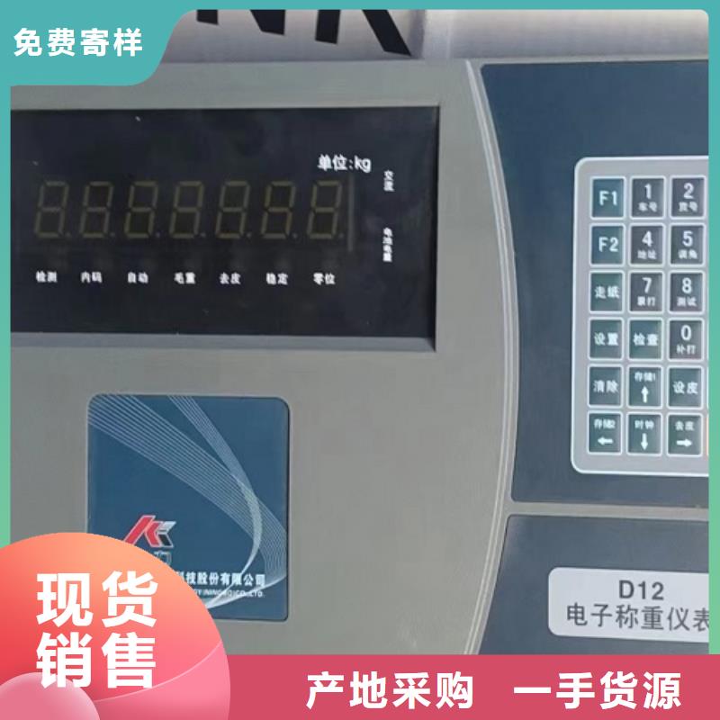 电子地磅电子秤支持定制贴心售后