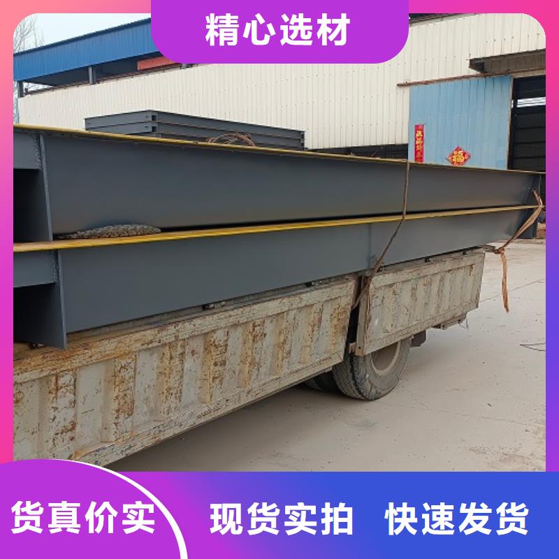 电子地磅-吊钩秤仪表价格透明