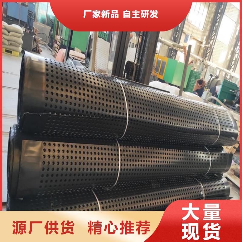 排水板塑料排水板多年行业经验