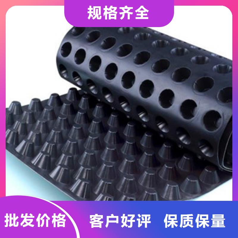 排水板土工格栅专业信赖厂家