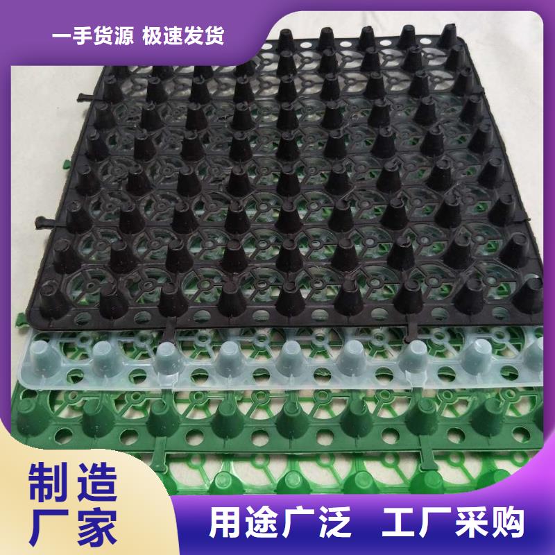  排水板实体诚信经营
