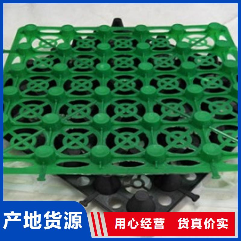  排水板实体诚信经营