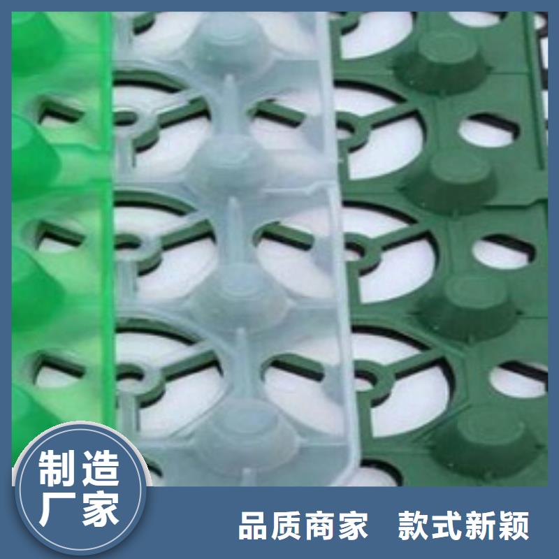 【 排水板,虹吸排水系统诚信厂家】 秉薪工程材料(广安市分公司)
