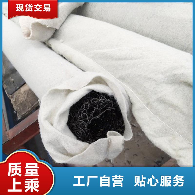 塑料盲沟-复合土工膜真材实料