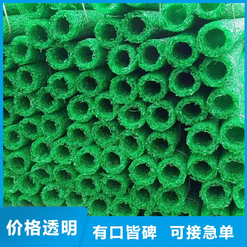 塑料盲沟三维植被网精心选材
