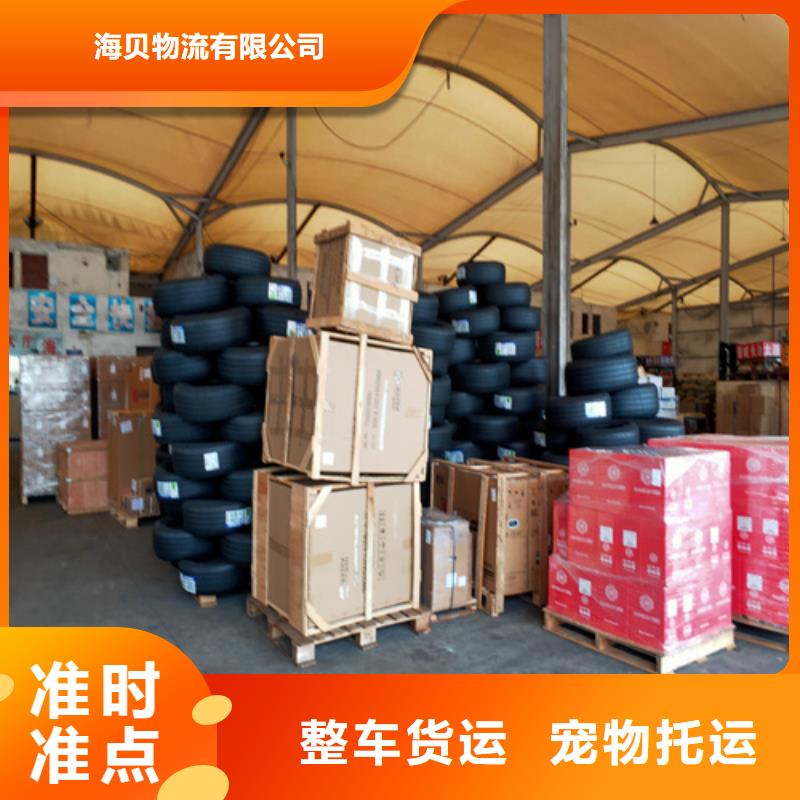 上海到华尔网大件物流运输视频-长兴|安吉|金华|台州|温州|宁波|衢州|杭州海贝上海到华尔网大件物流运输_ 海贝物流(湖州市分公司)