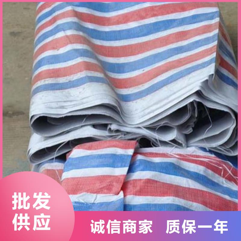 彩条布-绿化防寒布厂一站式采购