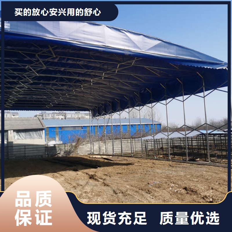 电动篷诚信厂家